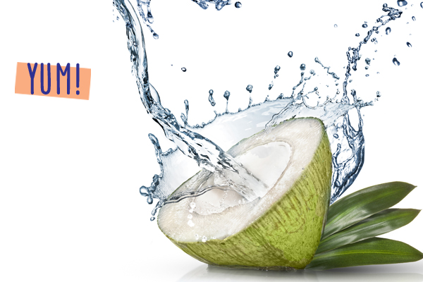 Organic Coconut Water Suppliers