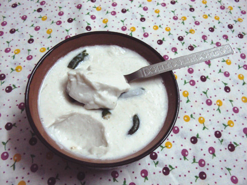 dairy free vegan curd