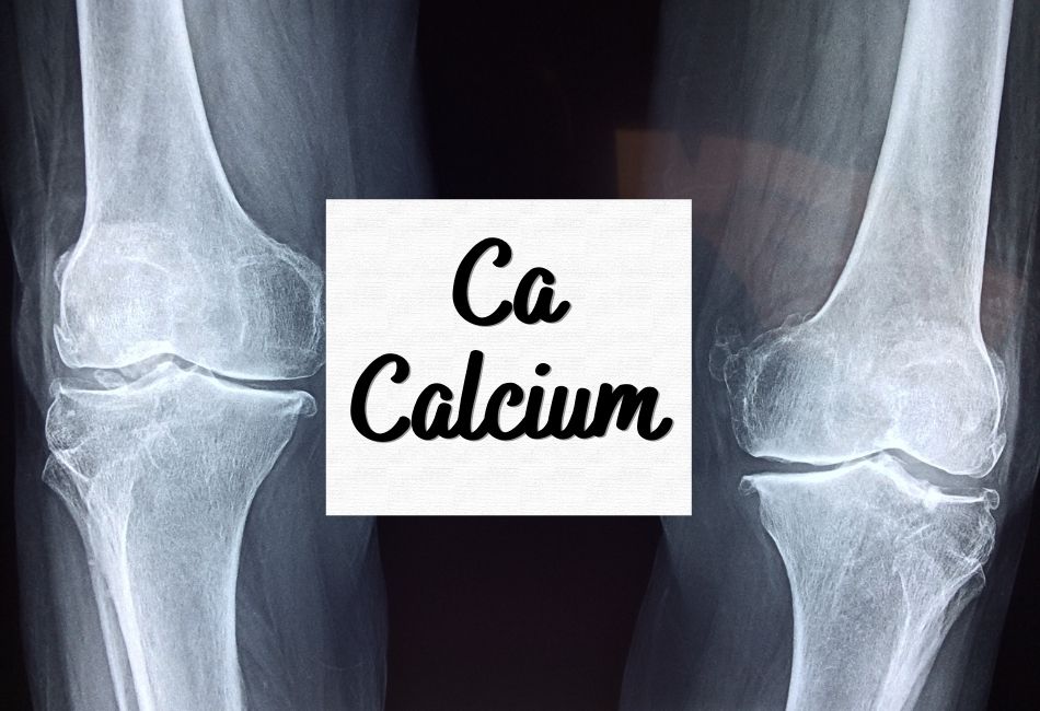 calcium on vegan diet