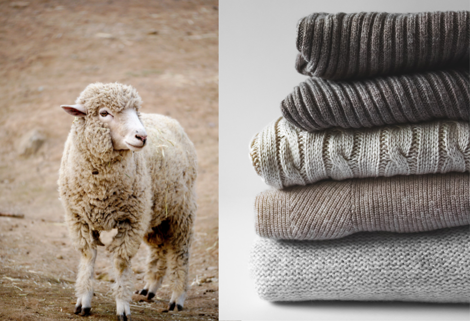 Why You Should Purge Your Closets Of Cashmere and Pashmina