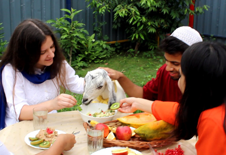 Bakra eid