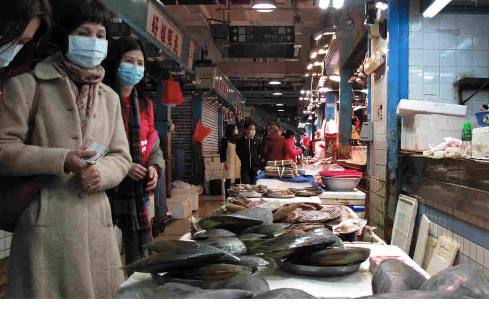 corona virus bats wet market reopens