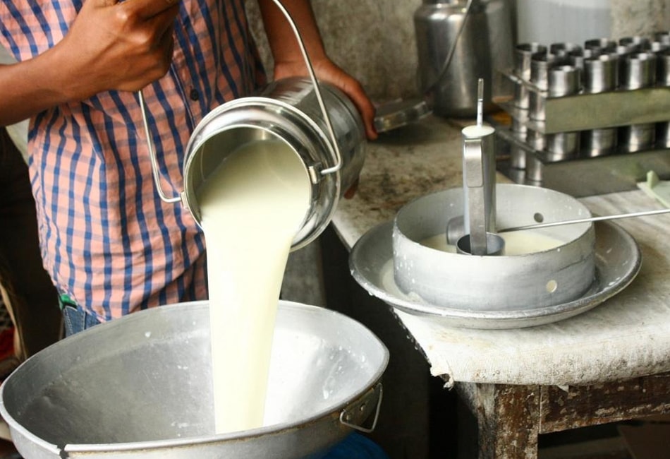Maharashtra Dairy Protest