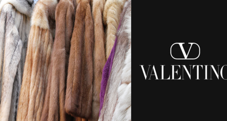 Luxury Fashion Brand Valentino To Go Fur-Free By