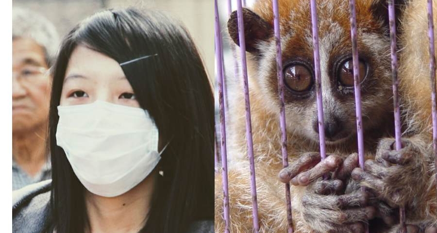 corona virus animal trade ban china