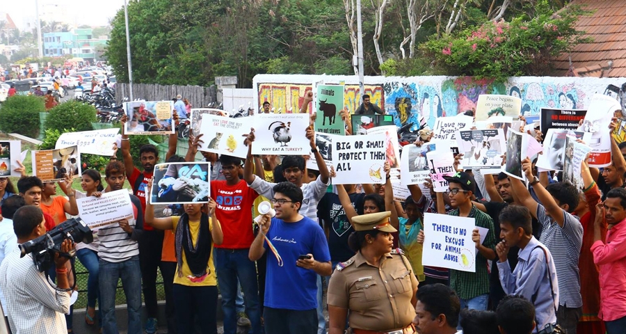 Animal Liberation March