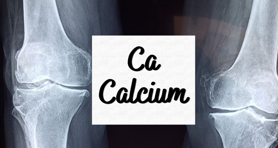 calcium on vegan diet