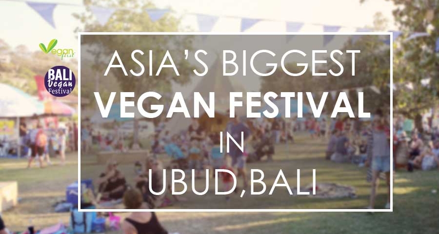 Bali Vegan Festival with Vegan First