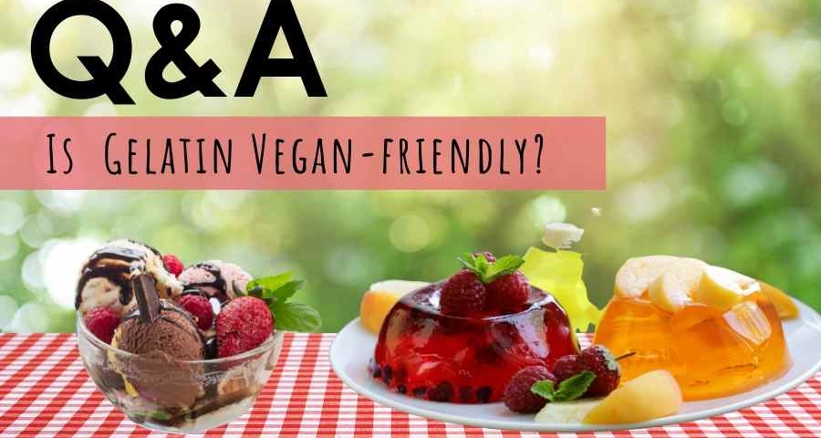 Q&A: Is Gelatin Vegan?