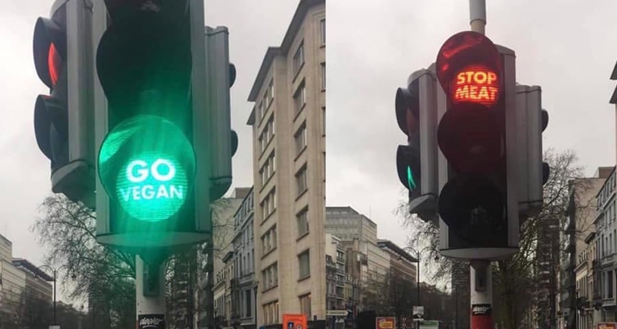 brussels traffic signal