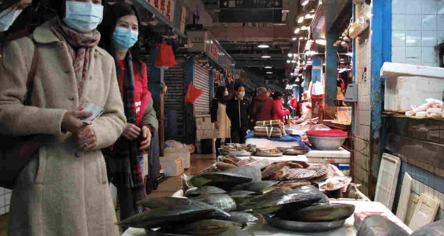 corona virus bats wet market reopens