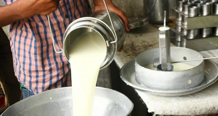 Maharashtra Dairy Protest