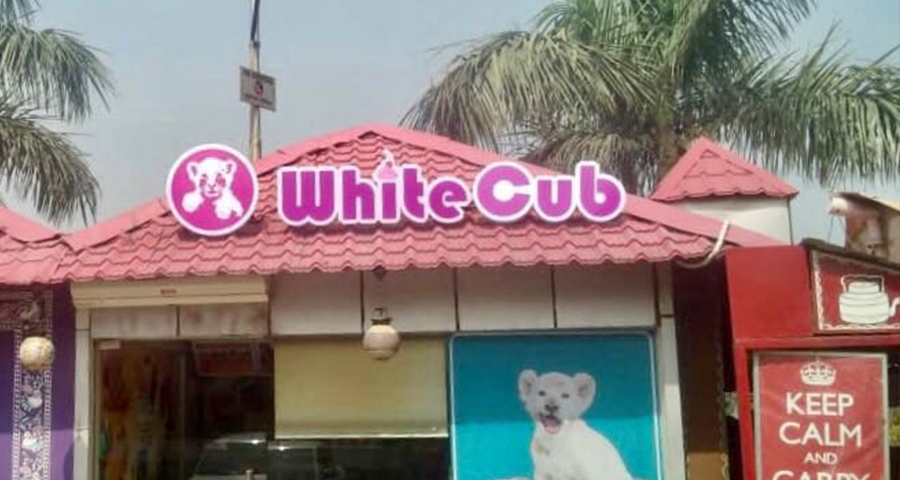White Cub Vegan Ice cream